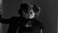 cycata laska lubi ostrą jazdę