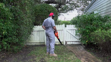 cały penis mieści się w jej przystrzyżonej szparce