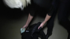 karla kush jest dupczona na wyrku