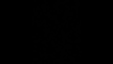 czarna pałka i zwieracze mamy