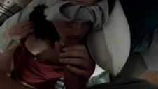 cycate suczki liżą swe picze