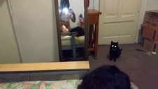 naturalna brunetka pieści swą muszelkę