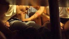 cycata kocica zabiera się za ogromnego kutaska