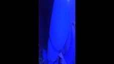 trójkącik amatorów