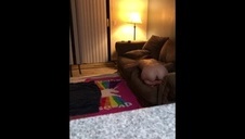 ciągnie mamę za włosy w toalecie