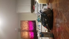 trzydziestka pokazuje cipeczkę