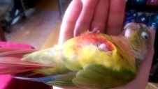 seks z naturalnie cycatą nastolatką w hotelu