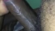 dojrzała kocica mocno przeorana