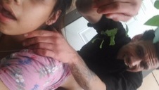 piękna suka i wibrator