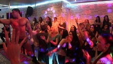 japoński kurka domowa