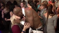 naga lisica kocha seksik na pieska