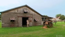 zabawa cycatych anime lasek