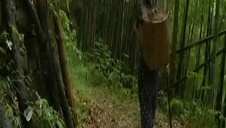 siedzi na ławce pod palemką