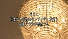 białoruska suczka ostro cięta