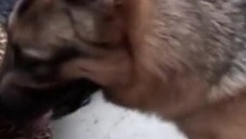 laska zdradza faceta i robi filmik zemsty