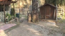 dostał pozwolenie aby się przyłączyć