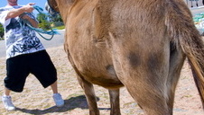 kelly devine w analnym trójkąciku