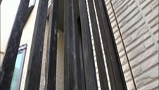 partnerka obciąga innemu