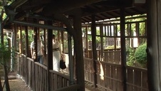 nagie ciałko i korale