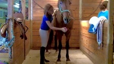 spuść się w tyłku