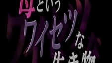 puka dwie chude laseczki