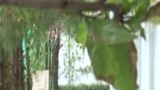 zgrabniutka blondyna wyleguje się nago