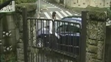 laska wylizała mu jajca i parówę