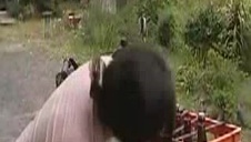 głębokie gardło cycatej pani