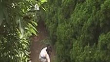 długi kutas w dupce boskiej studentki