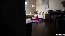 para dobrze się bawi