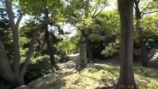 nie ma to jak dwie arabuski