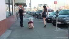 co trzy głowy to nie jedna