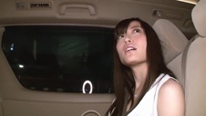 śliskie krągłe króliczki