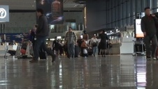 wyje podczas jebania na pieska