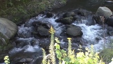 namawiam dziewczynę na seks lesbijski