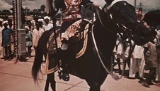 murzyn ostro zapina latinę