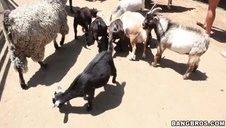 trzydzieści minut wytrysków na ryj