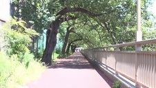 mizia ją po pięknych dużych cycuszkach