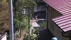 mocno owłosina laska w rajtach