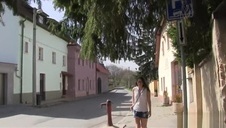 znakomite ślicznotki pracują w straży pożarowej