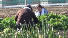 helenka pocałowała jego kutaska