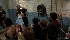 murzyn zapina zwieracze pustych suczek