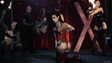 blondi połyka zawodowo bolca