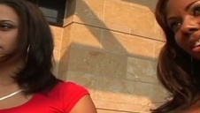 dwie upite i zdobyte panny