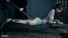 piękne i jędrne pupcie wypięte specjalnie tylko dla niego