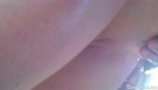 hd cycaty motylek bawi się sam