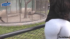 mięśniak uwięził swoją zdobycz