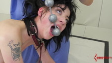 trzy bolce i nimfomanka