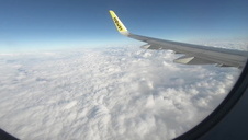 trójkącik z dobrymi suczkami