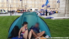 biała świnka lubo czarne pento